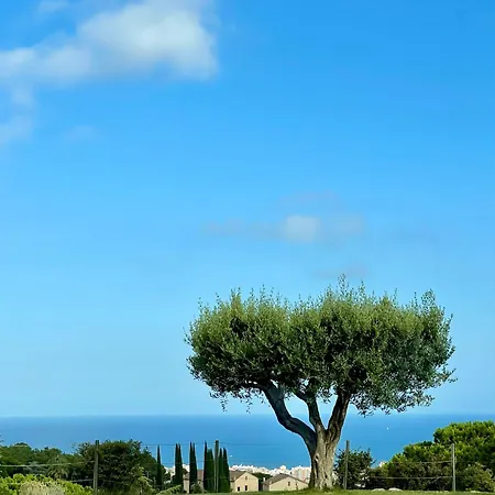 Palm Maresme - With Bathroom And Terrasse With Ocean Views In A Private